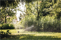 Fiskars Sectorsproeier | metaal | met wielen 1023656-3