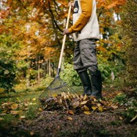 Fiskars Solid Houten Waaierhark met Ronde Tanden FSC – 1077117-2