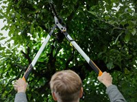 Fiskars LX108 Bypass Takkenschaar | X-Series™ | DualAction - 1080133-2