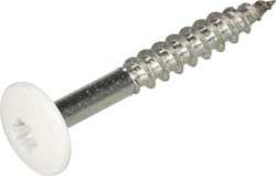 Hoenderdaal Hpl Schroef Rvs-A2 Torx TX20 Zuiver Wit Ral9010 4.8X25 | 100 stuks - 0346.30.37124