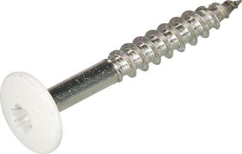 Hoenderdaal Hpl Schroef Rvs-A2 Torx TX20 Zuiver Wit Ral9010 4.8X25 | 100 stuks - 0346.30.37124