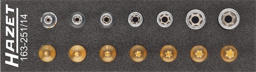 HAZET Gereedschapset - TORX® 163-251/14 - 1/4 inch (6,3 mm) vierkant hol - Buiten-TORX®-profiel, Binnen-TORX®-profiel - 14-delig - E4 – E11 - T10 – T40
