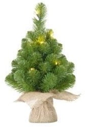 Enzo Kerstboom Norton 15 LEDs 60cm 5510140