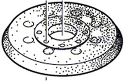 Bosch Accessoires Bosch Accessoires Schuurplateau | 125 mm | Voor Bosch GEX 125-1 AE - 1600A01CU1 - 1600A01CU1