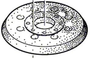 Bosch Accessoires Bosch Accessoires Schuurplateau | 125 mm | Voor Bosch GEX 125-1 AE - 1600A01CU1 - 1600A01CU1