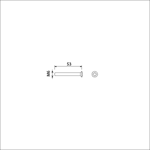 AMI Patentschroef M6X53 Rvs Verpakt Per 10 In Zakje - 900391-2