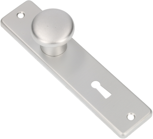 AMI Knop 160/40 Vast Kortschild 165/4 RH Sl 56 F1 - 310152