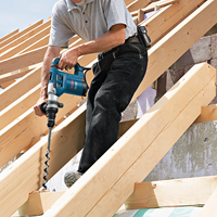 Bosch 0611332100 - 3165140412995-2.png