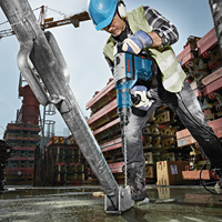 Bosch 0611265100 - 3165140604062-2.png