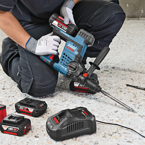 Bosch 1600A00L1M - 3165140867955-2.png