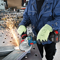 Bosch 06017B0800 - 3165140962483-3.png