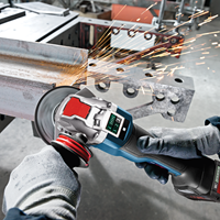 Bosch 06017B0800 - 3165140962483-4.png