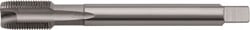 Rotec HSSE 800 M.Tap DIN 374-B MF M14 x 1,25 - 3351412