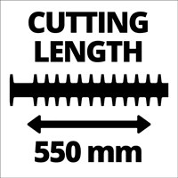 3403835_10.jpg