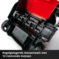 3420604_6.jpg