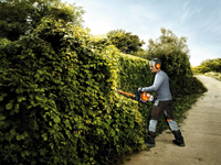 Stihl HS 82 R heggenschaar | 60 cm | 38 mm | 0,7 kW | 1 pk - 42370112977-2