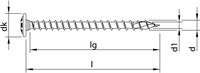 HECO-TOPIX-plus A2 6,0 x 80, tk, Tellerkop, T30, VVD, 100 st - HC61820-2
