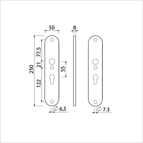 AMI Langschild 250/50/8/1 Profielcilinder 55 F-1 R6,5/R7,3 - 215313-2