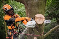 Stihl MSA 220 T Accu Kettingzaag | 30cm/12" - MA012000044-3