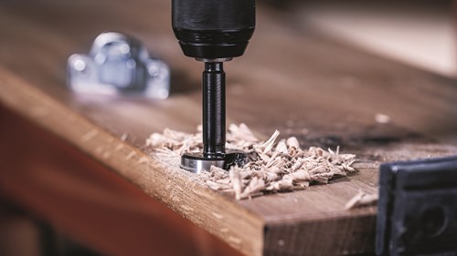 Bosch Accessoires EXPERT Wood Forstner Boor | 16 mm - 2608901825-2