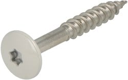 Hoenderdaal Hpl Schroef Rvs-A2 Torx TX20 Lichtgrijs Ral7035 4.8X38 | 100 stuks - 0346.30.37538