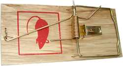 CON:P Rattenval Hout - B46600