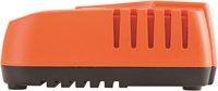 BCL31C1_2.jpg