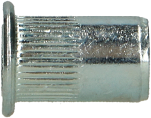 Pgb-Europe pgb-fasteners | blindklinkmoer cilindr. kop m6x16 zn rivn12001006000163 afbeelding