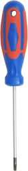 CON:P Schroevendraaier Tx10 2C - CPT312910