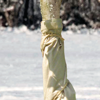 DY2701551-ANG-1.png