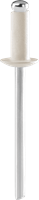 Rapid Blindklinknagels Gebroken Wit | Ø4,8 x 12 mm | Incl. Boor | 50 Stuks - 5001469-3