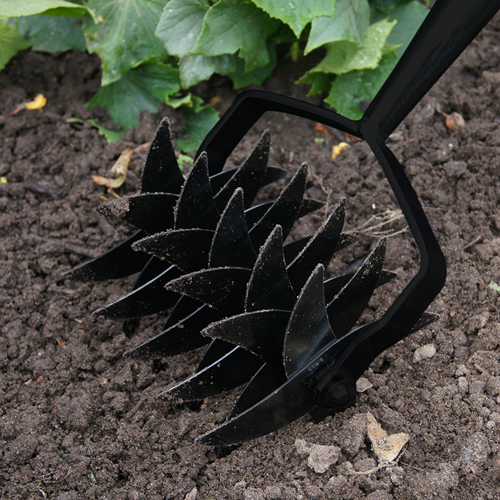 FLOR30684-ANG-1.png