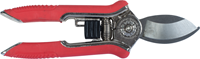 FLOR70367-VAR-1.png