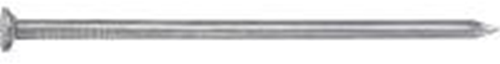 Connex Nagel Platte Kop 1.2X20 750G Vz - KK1041220