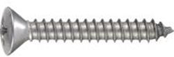 Connex Plaatschroef Bv-K 2.9X13 30St A2 - KY4552913