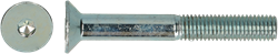 pgb-Europe PGB-FASTENERS | BZK-schroef VK 10.9 GD D. 7991 M 6x55 Zn | 200 st 7991101006000550