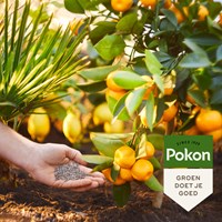 Pokon Mediterrane Planten Mest 1kg - 7184788100-3