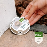 Pokon Tegen Mieren Lokdoos 2st - 723101-2