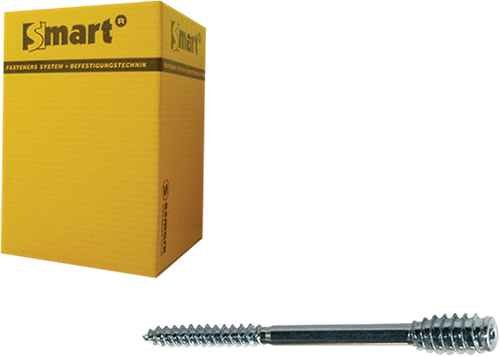 pgb-Europe SMART | Afstandschroef T-drive T25 Ø 6x200 Zn | 50 st - SM0SSC0010602003
