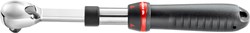 Facom Stofdichte Uitschuifbare Ratel 1/2'' - SXL.161PB