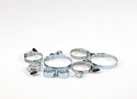 Hoenderdal Slangklem RVS A2 Hi-Grip 25-35mm | 50 stuks - 8601.30.10020-2