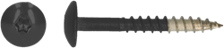 pgb-Europe PGB-FASTENERS | HPL schroef Tx20 4,8x38 R9004 A4 TRESP0A00038090043