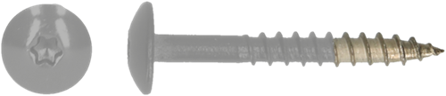 pgb-Europe PGB-FASTENERS | HPL schroef Tx20 4,8x38 R9006 A4 TRESP0A00038090063