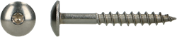 pgb-Europe PGB-FASTENERS | HPL schroef platbolkop Tx20 4,8x25 A4 TRESP0A00004800253