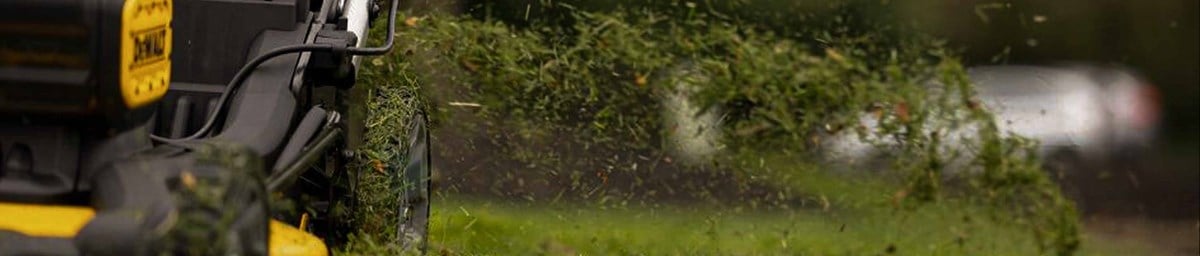 Grasmaaier tips voor een perfect gazon: onderhoud, maaimomenten en veelgestelde vragen