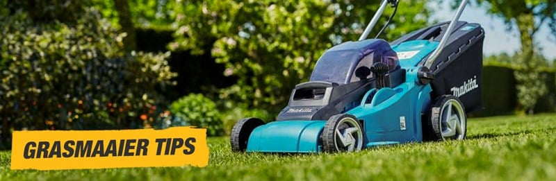 Grasmaaier tips voor een perfect gazon: onderhoud, maaimomenten en veelgestelde vragen