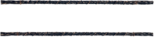 coxt806015-VAR-2.png