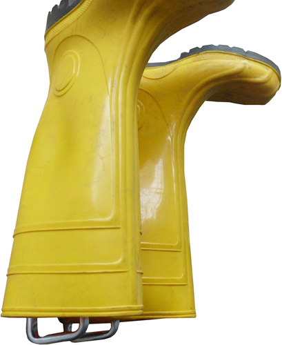 dy222023-ANG-1.png