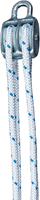 dy270524-ANG-1.png