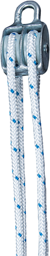 dy270524-ANG-1.png